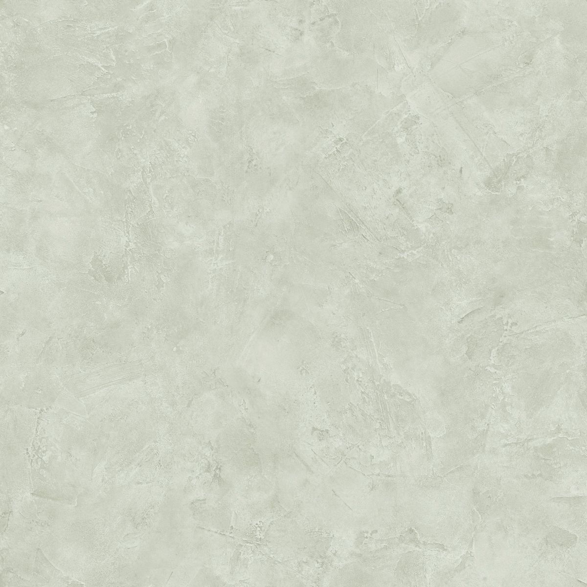 Patine 2 — Dove