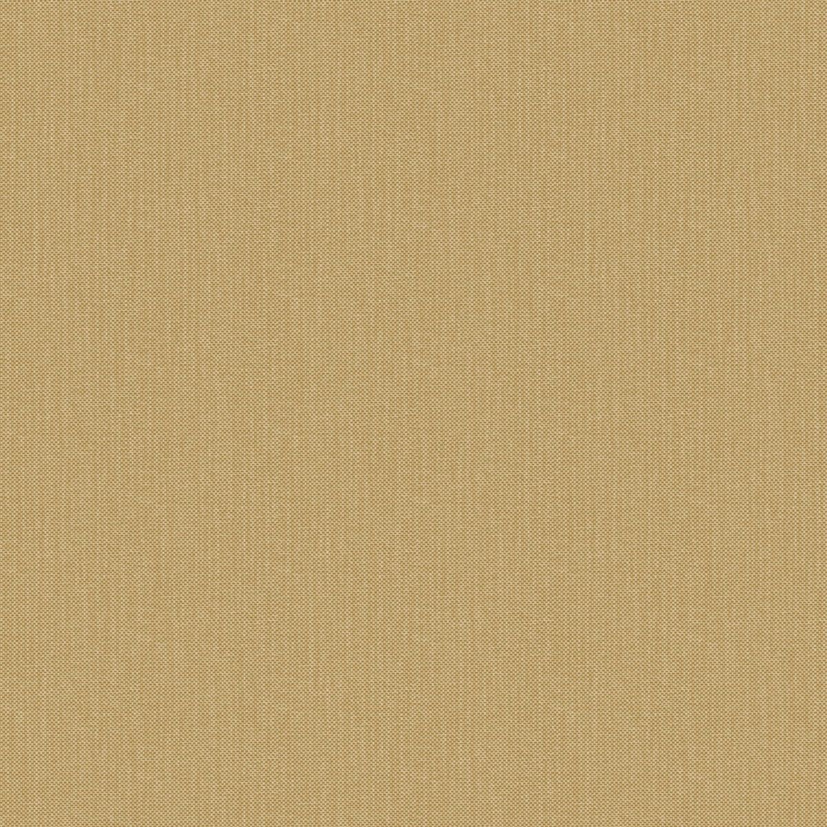 Natte 2 — Camel