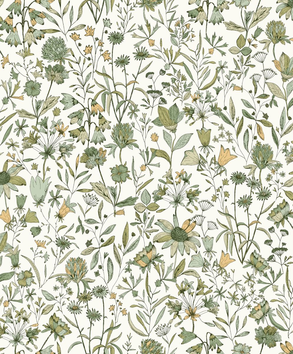 Art Of Botany — Oatmeal