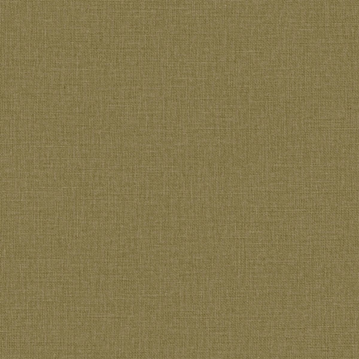 Jute — Olive