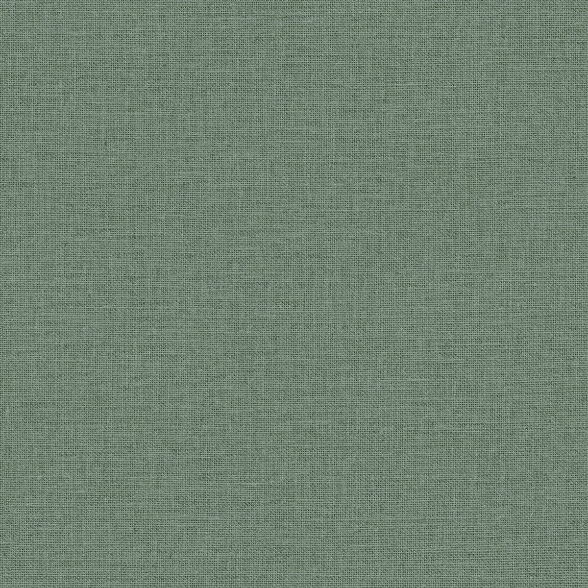 Jute — Eucalyptus
