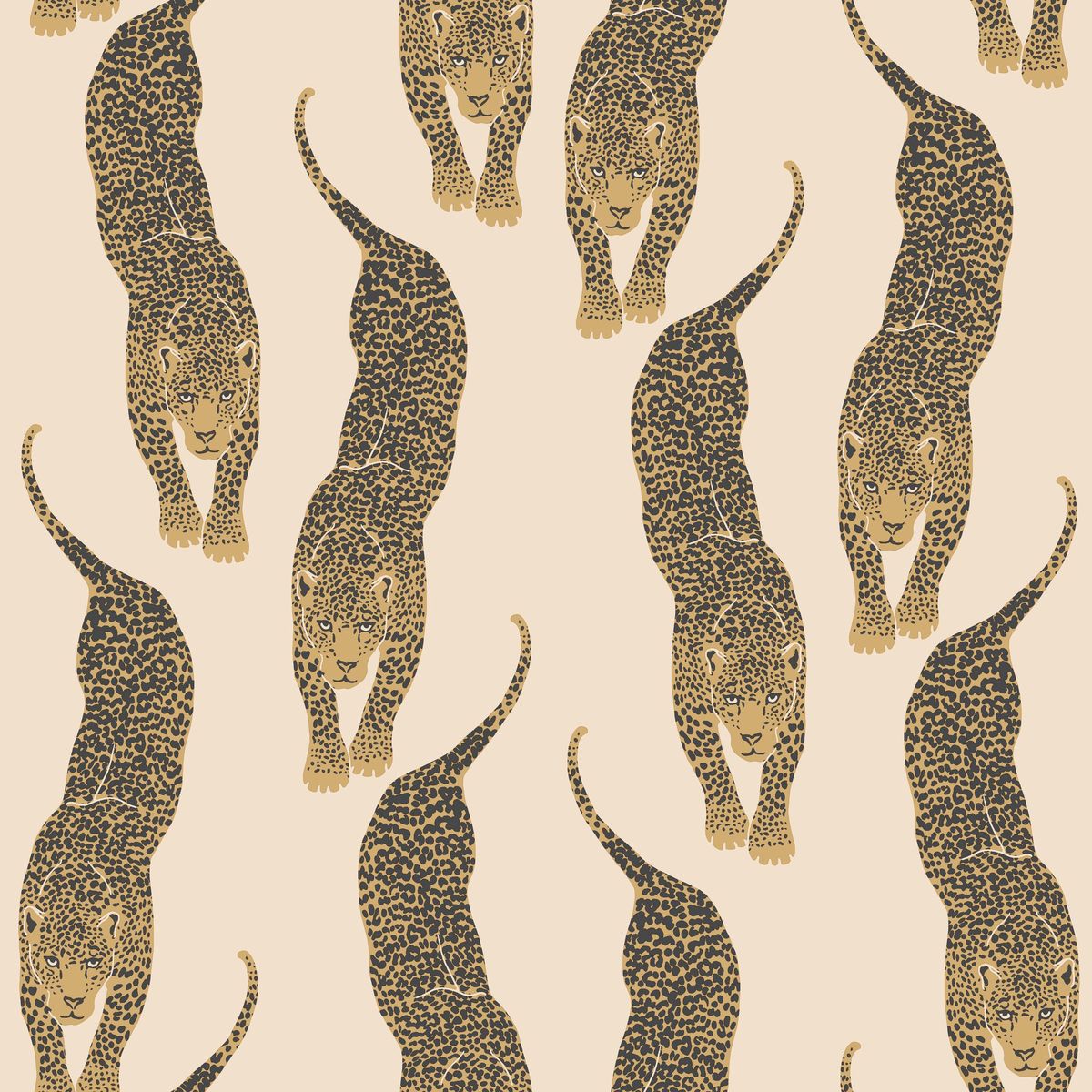 Wild — Beige