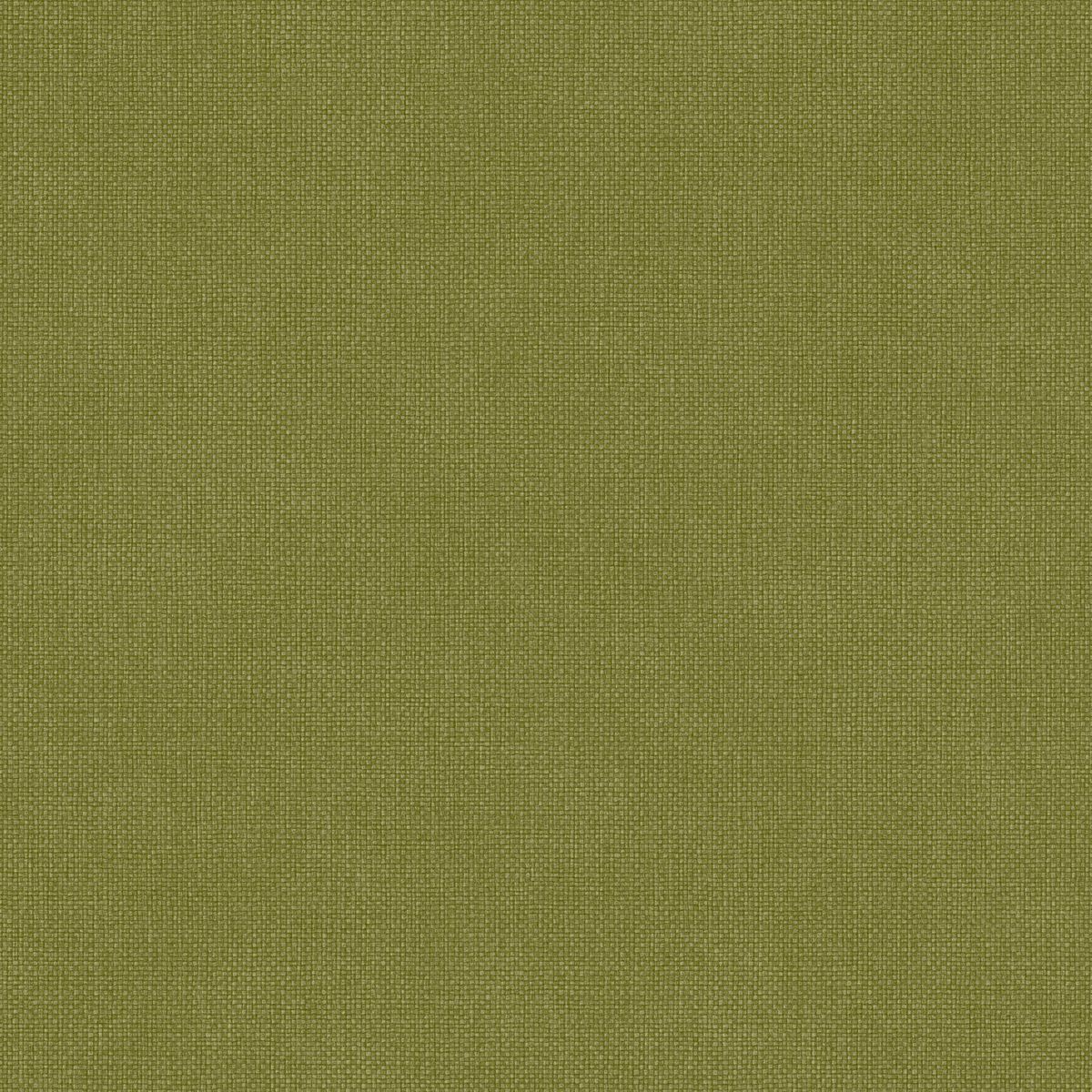 Damier — Olive