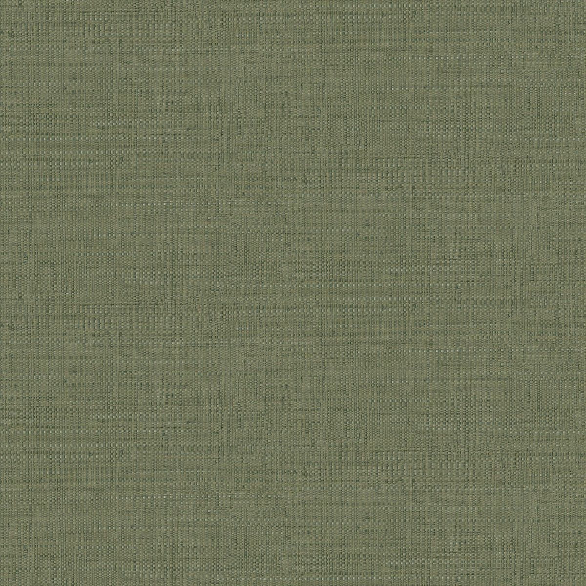 Matieres — Olive