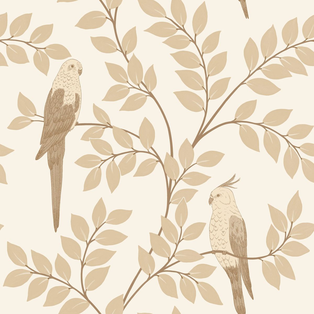 Borneo — Oatmeal