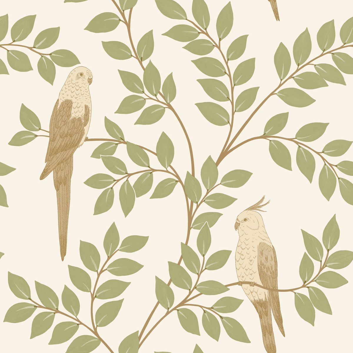 Borneo — Oatmeal