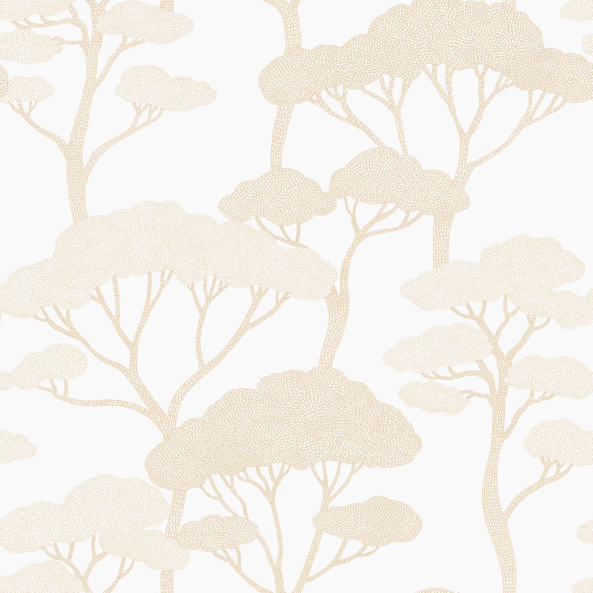 Light — Ivory