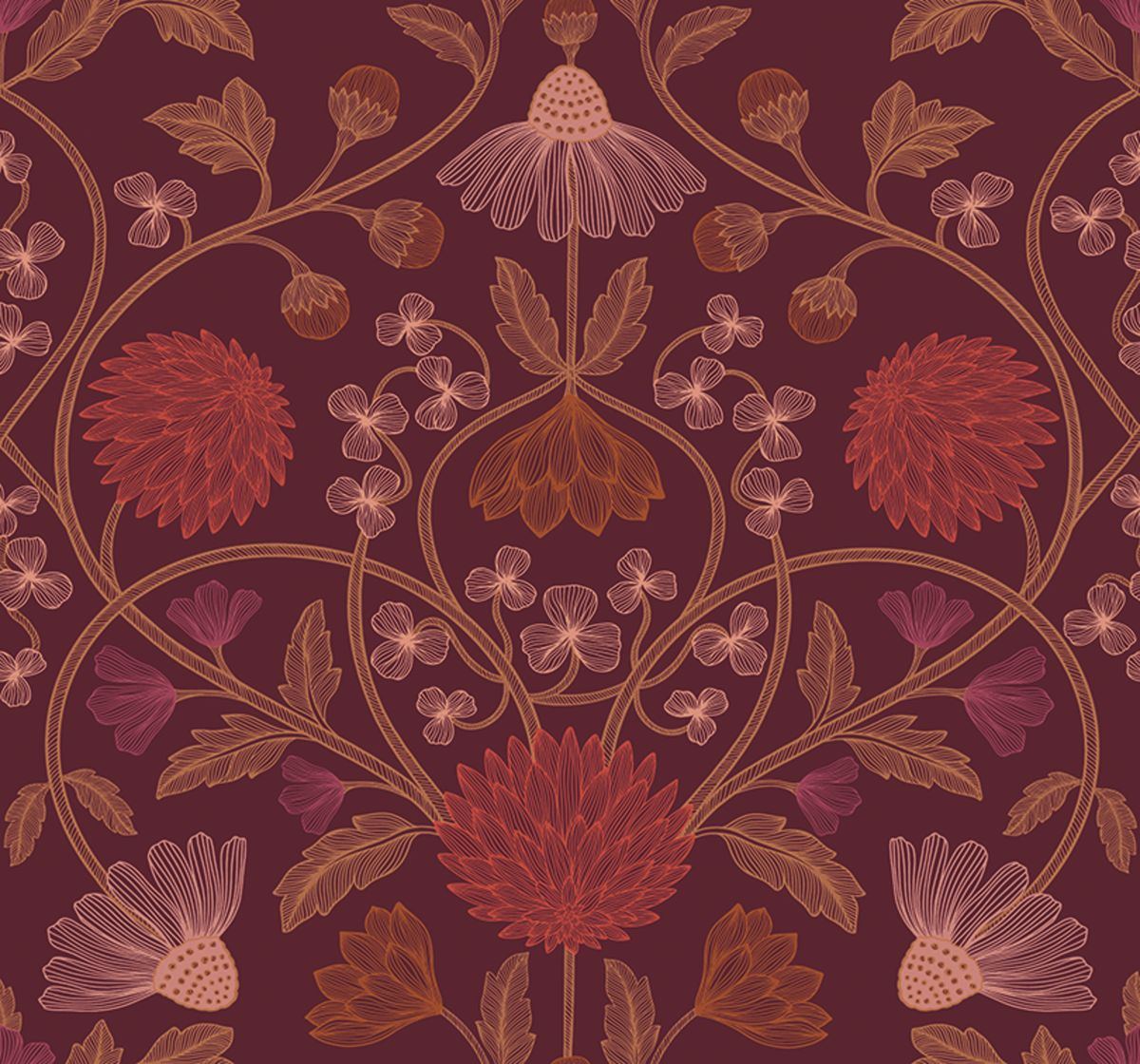 Isadora — Chocolate