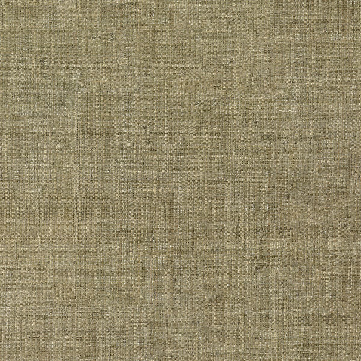 Tramis — Olive
