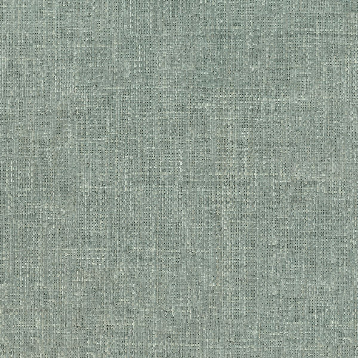 Tramis — Eucalyptus