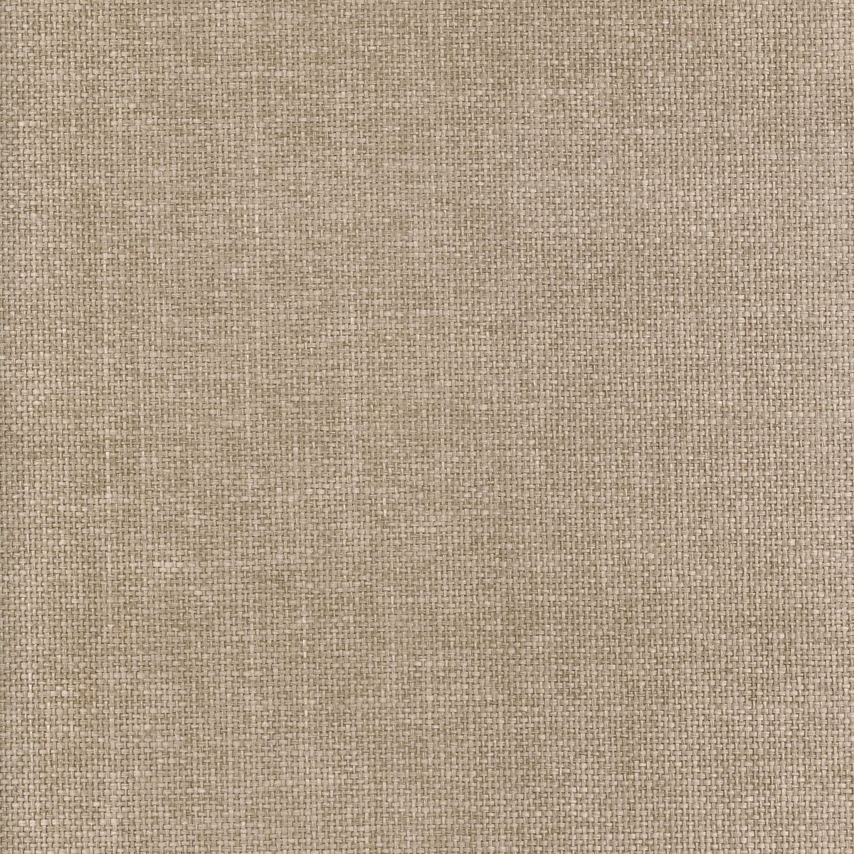 Tramis Kira — Taupe