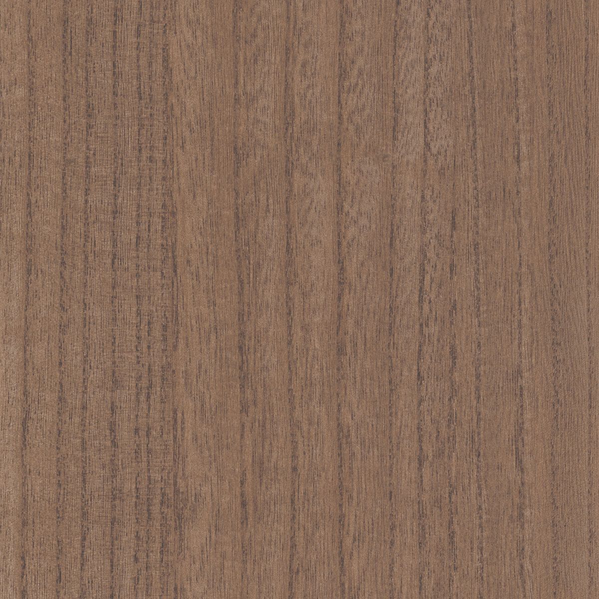 Traversée Ebony — Mushroom