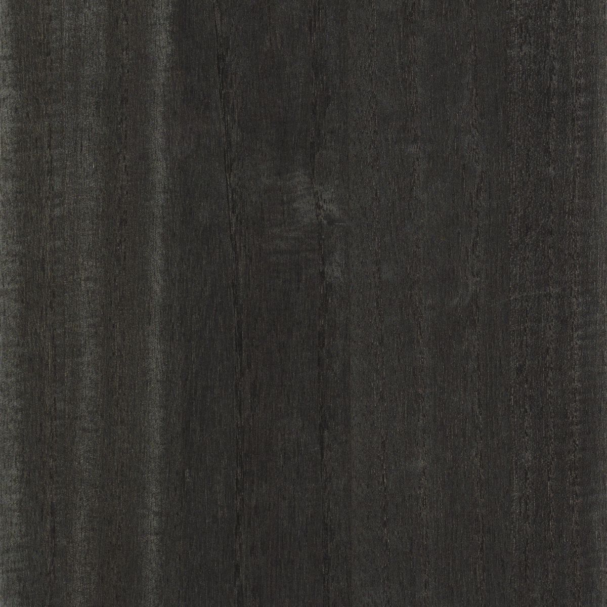 Traversée Ebony — Charcoal