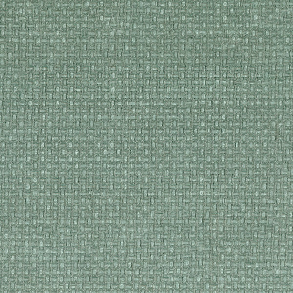 Tramis — Eucalyptus
