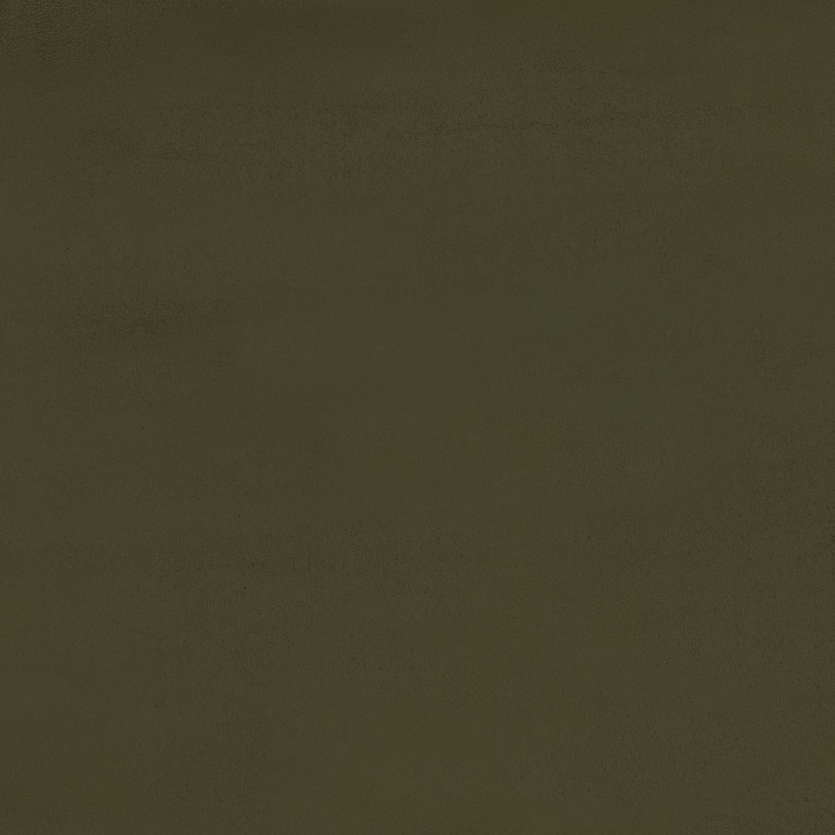 Odeon — Forest