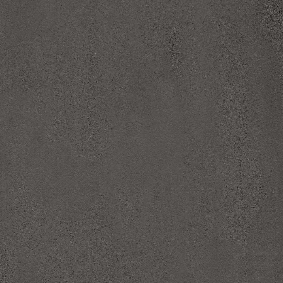 Odeon — Graphite