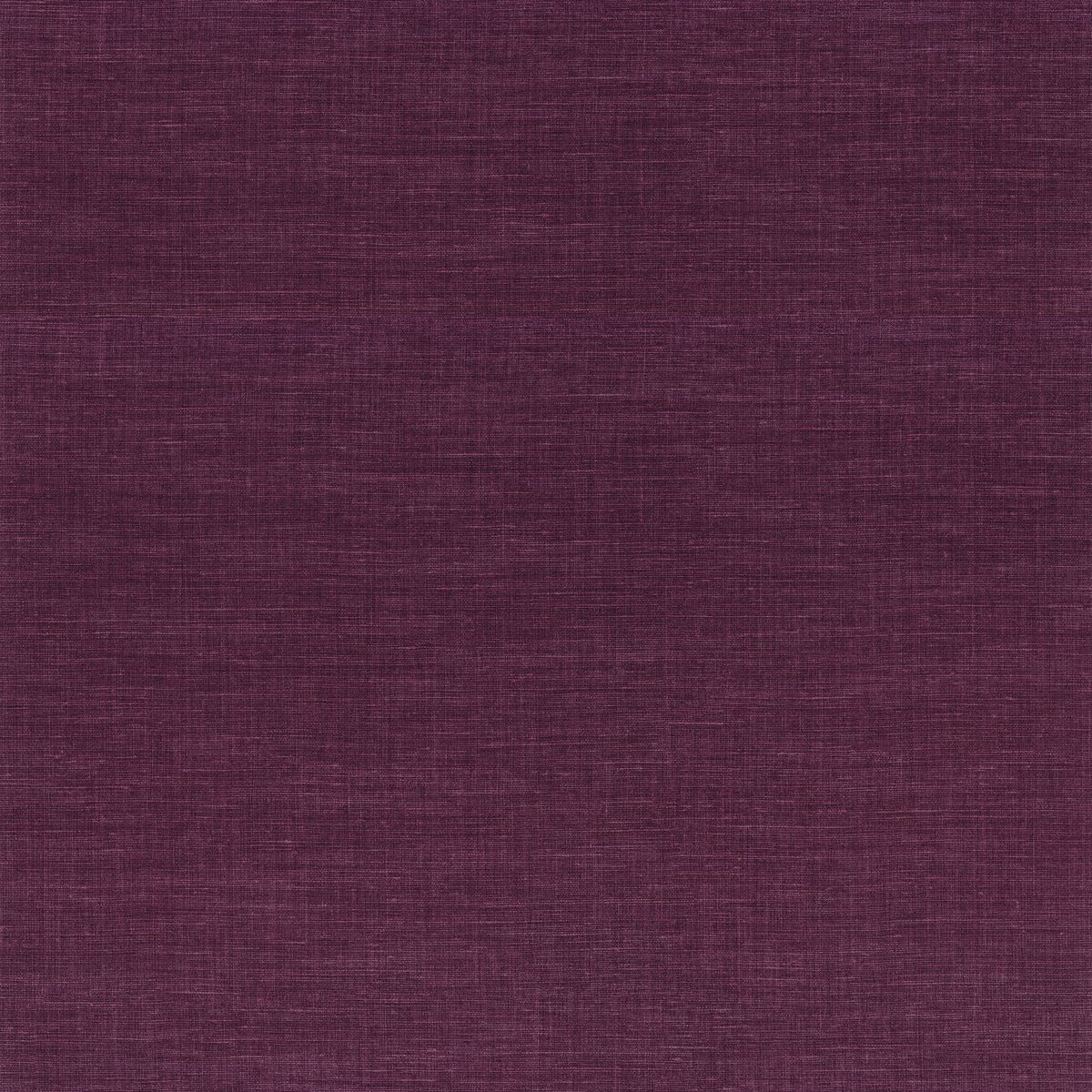 Edition Rayures — Aubergine