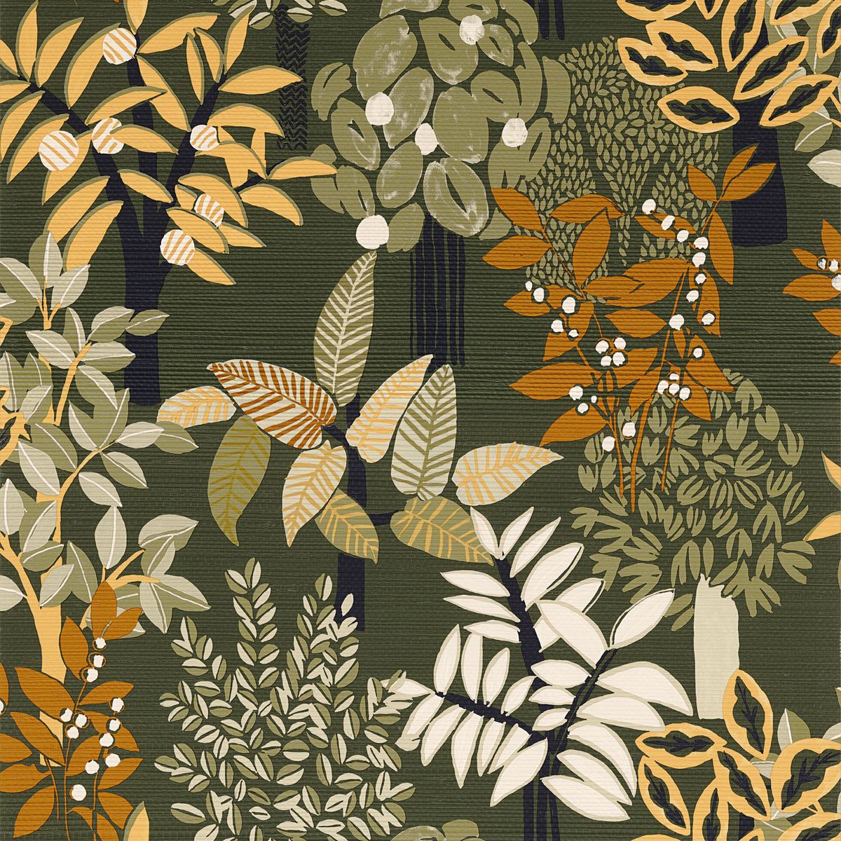 Golfe Du Bengale — Olive