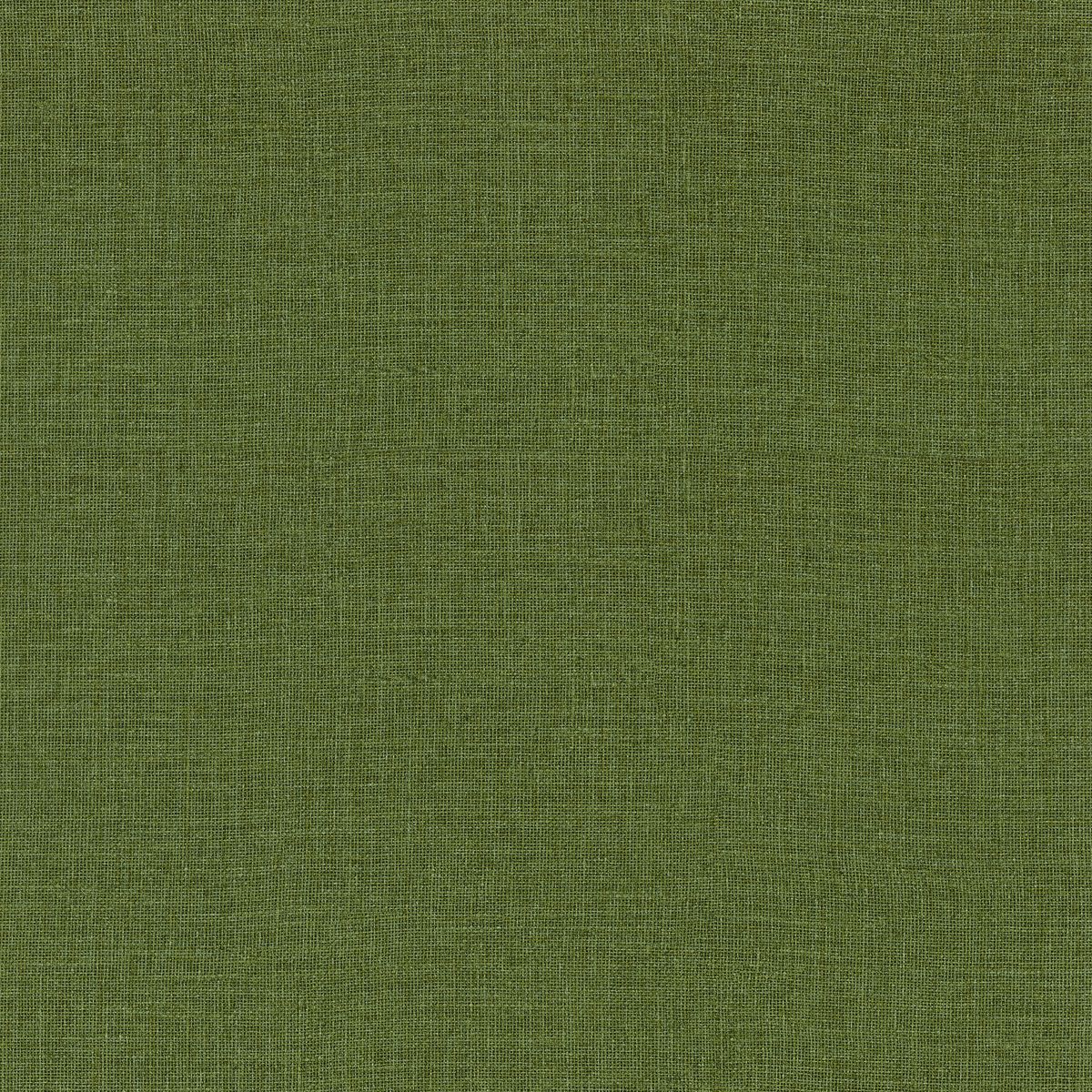 Casa Azul — Moss
