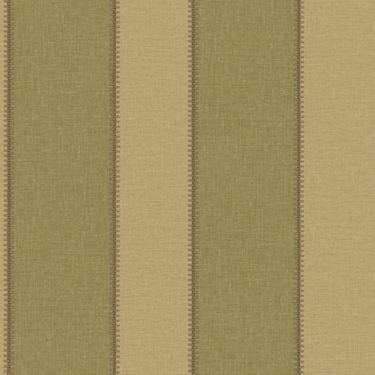 Edition Rayures — Olive