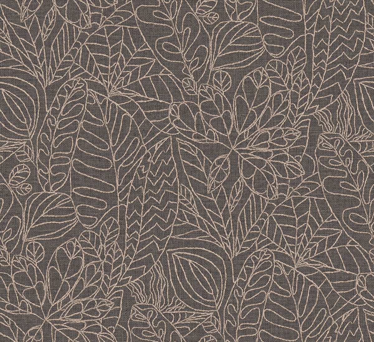 Racines — Graphite