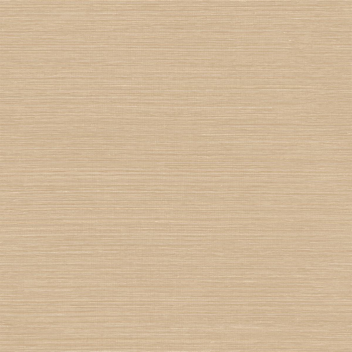 Racines — Beige
