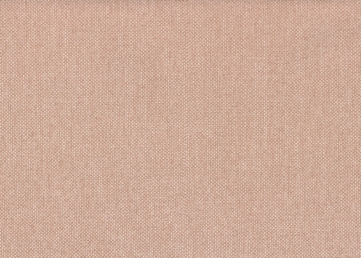 Ammazonia — Beige