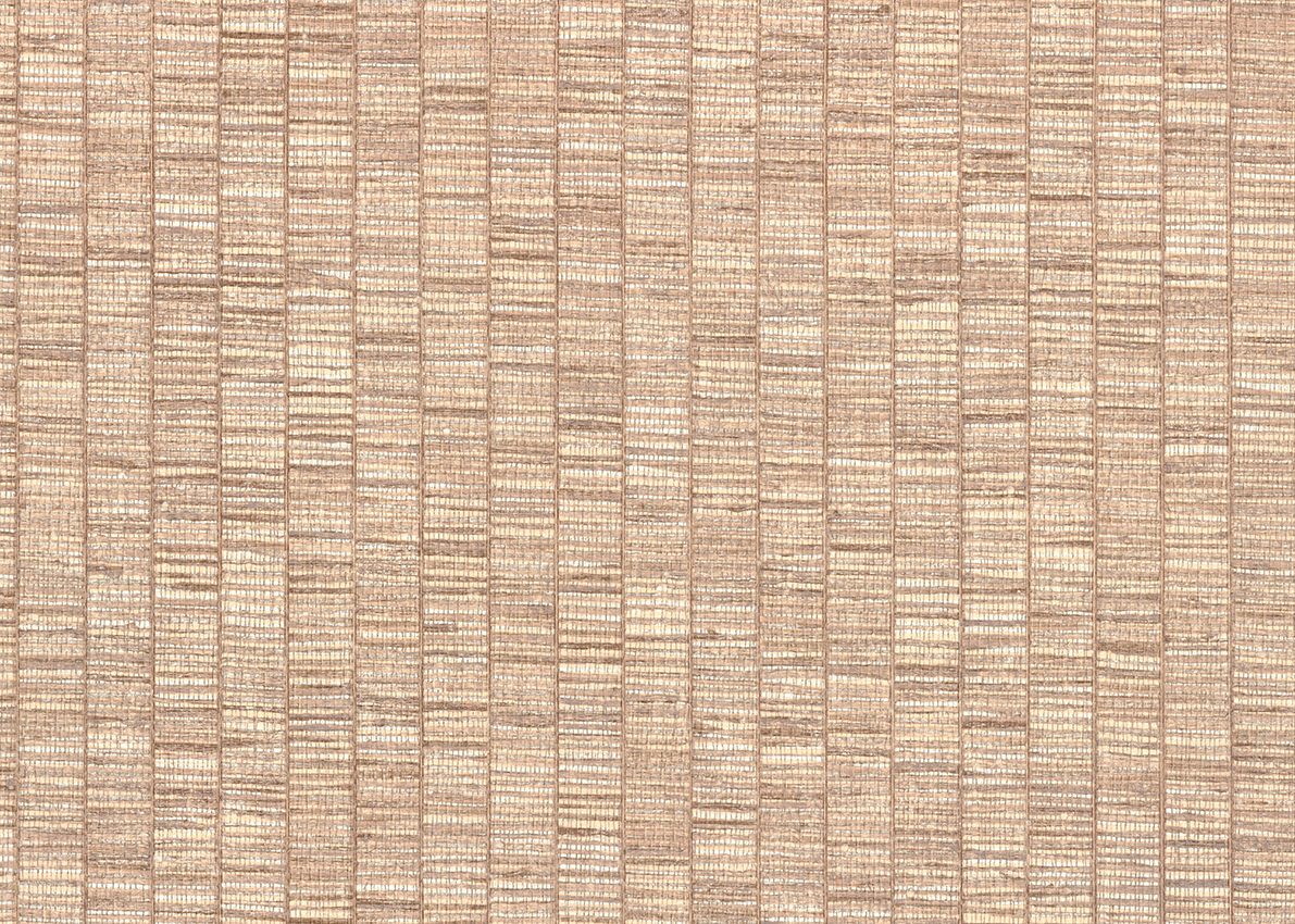 Ammazonia — Beige
