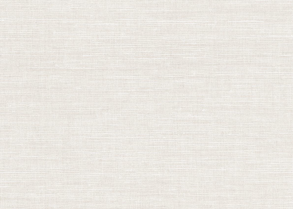 Ammazonia — Ivory