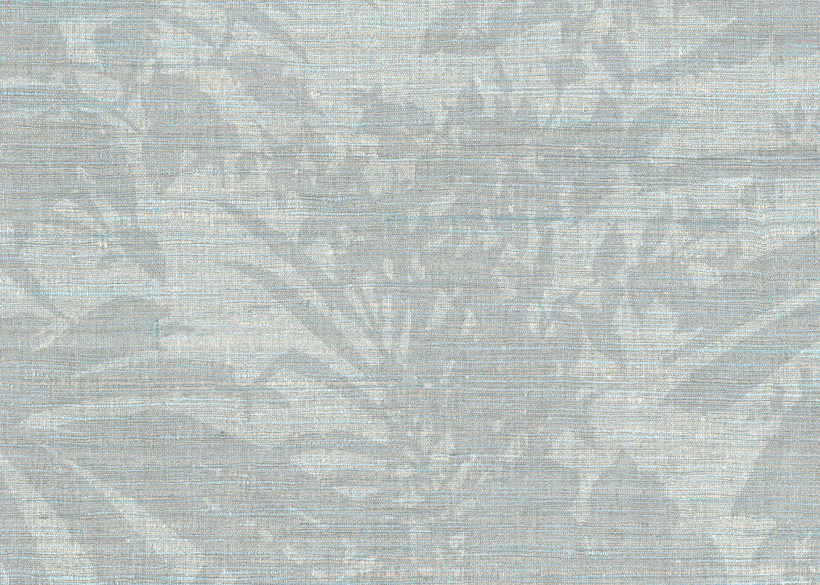Ammazonia — Silver