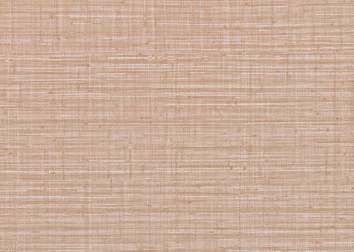 Ammazonia — Beige