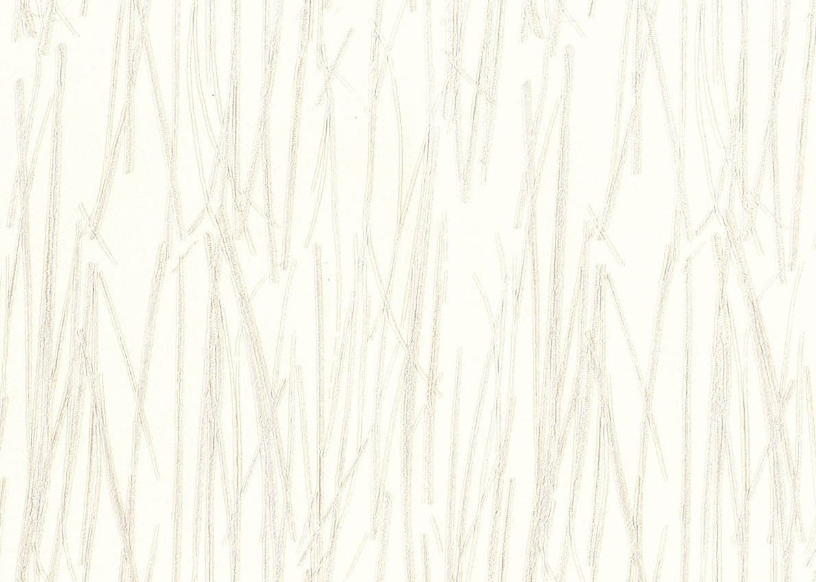 Evolution — Ivory