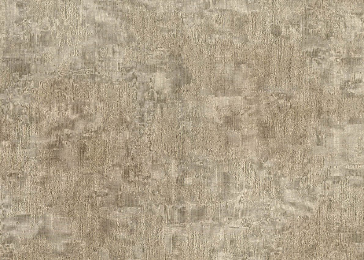 Evolution — Taupe