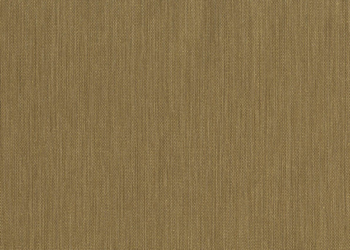 Evolution — Olive