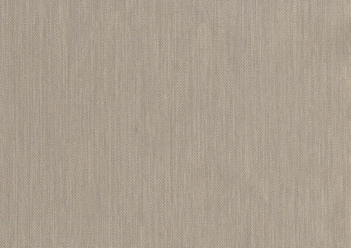 Evolution — Taupe