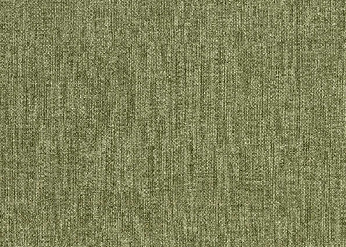 Ammazonia — Olive