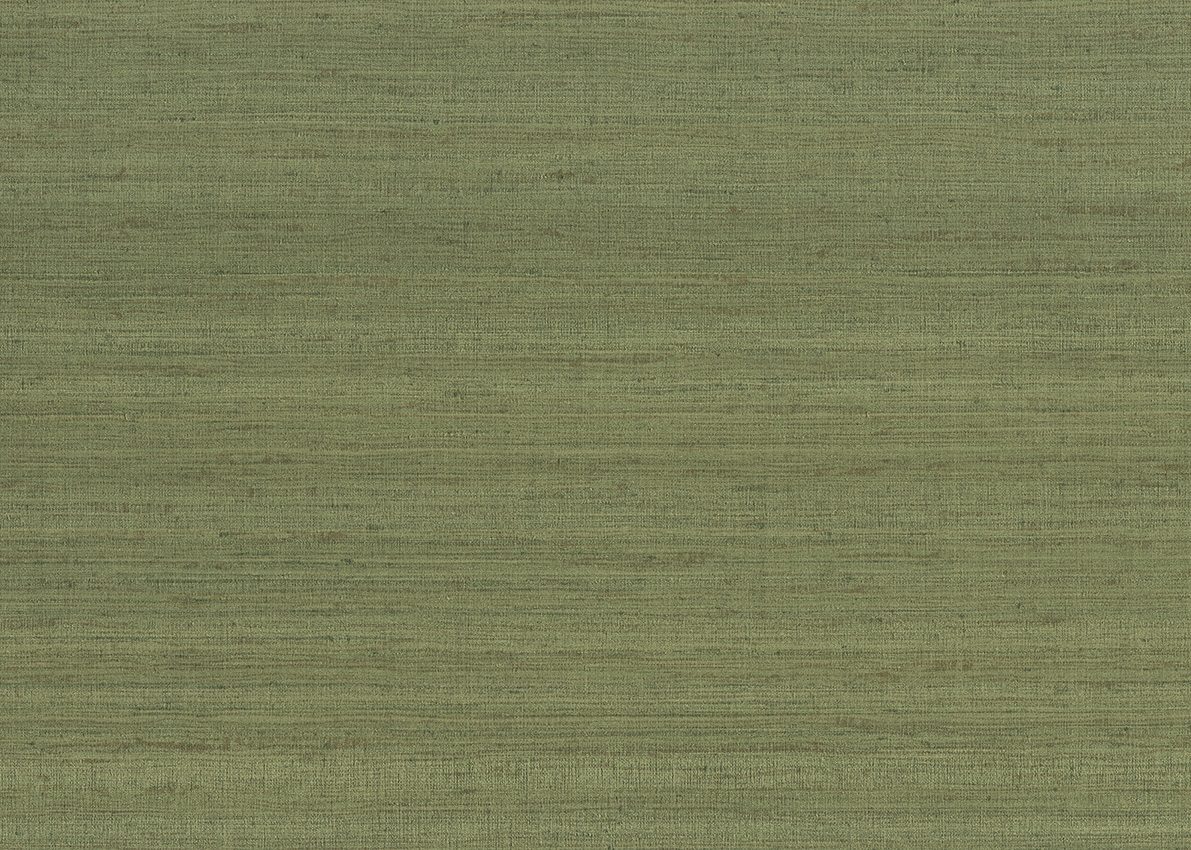 Jaipur — Olive