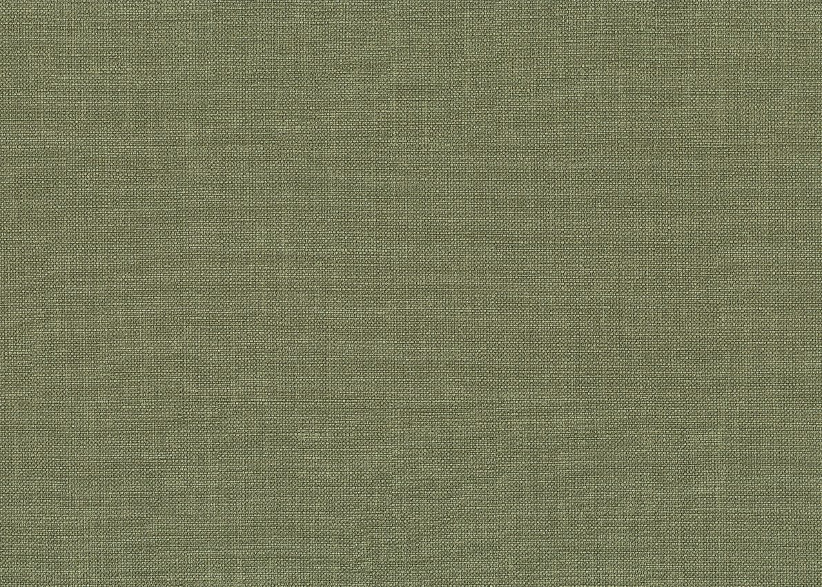 Penelope — Olive
